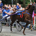 Short-track harness racing in 10 shots – number 10
