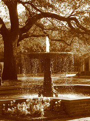 Fountain in Square