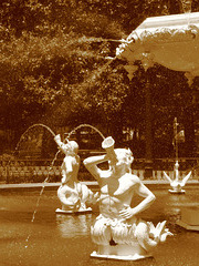 Fountain at Forsythe Park