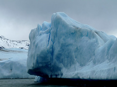 Iceberg From Upsala Glacier