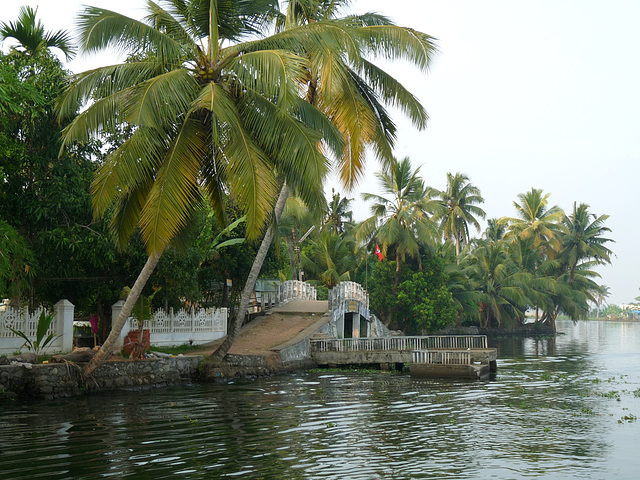 Stone Bridge and Coconut Palms