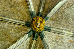 Worcester Cathedral 2013 – Ornamental head