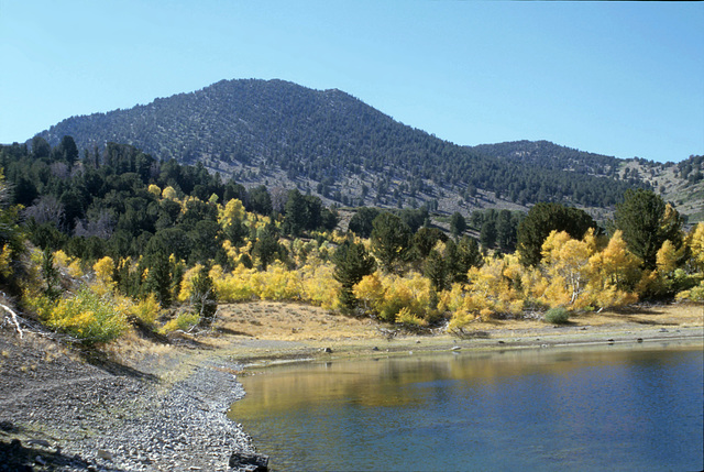 Fall colors at Church's Pond, Mt. Rose