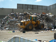 At the Dump