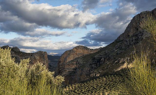 Sierras de Jaén