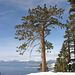 Tahoe from Diamond Peak