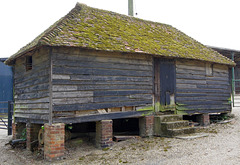 venerable shed
