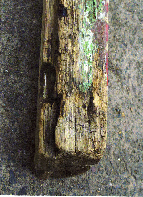 BC - old timber