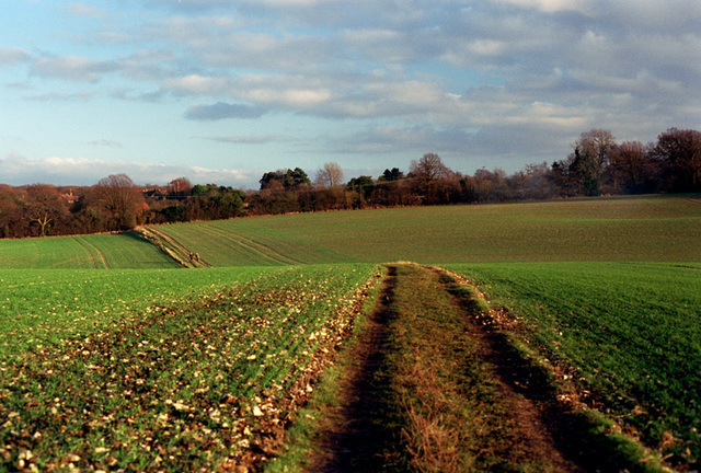 Hertfordshire view