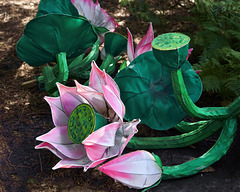 Lotus Lanterns – Botanical Garden, Montréal, Québec