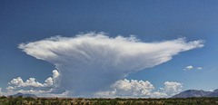 An Anvil Cloud