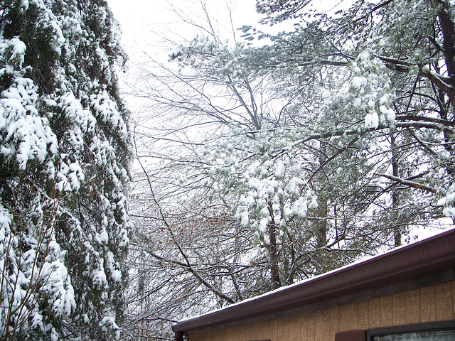 100_4418.JPG 100_4418.JPG