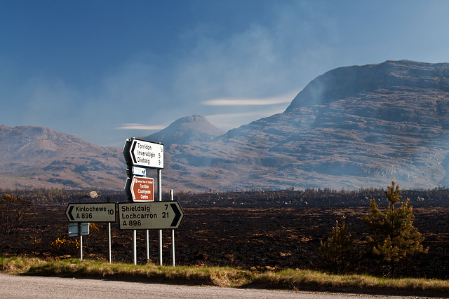 Torridon fire 9: After the fire passed through