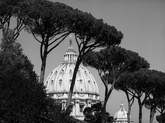St. Peters backside - view from the Viale Vaticano