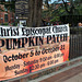 Episcopal Pumpkin Patch