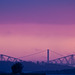 The Forth Bridges in the pink