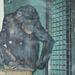 Bonobomädchen Khaya (Wilhelma)