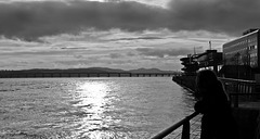 The Silvery Tay