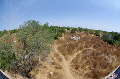 Dry field with olive trees and an old boat