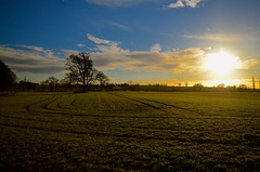 Sunrise over Staffordshire Fields