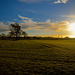 Sunrise over Staffordshire Fields