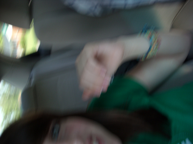 DSCN0193 DSCN0193
