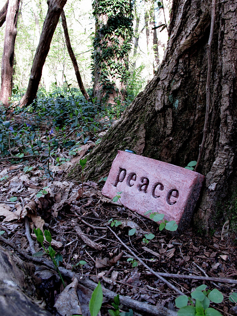 Peace on a Brick