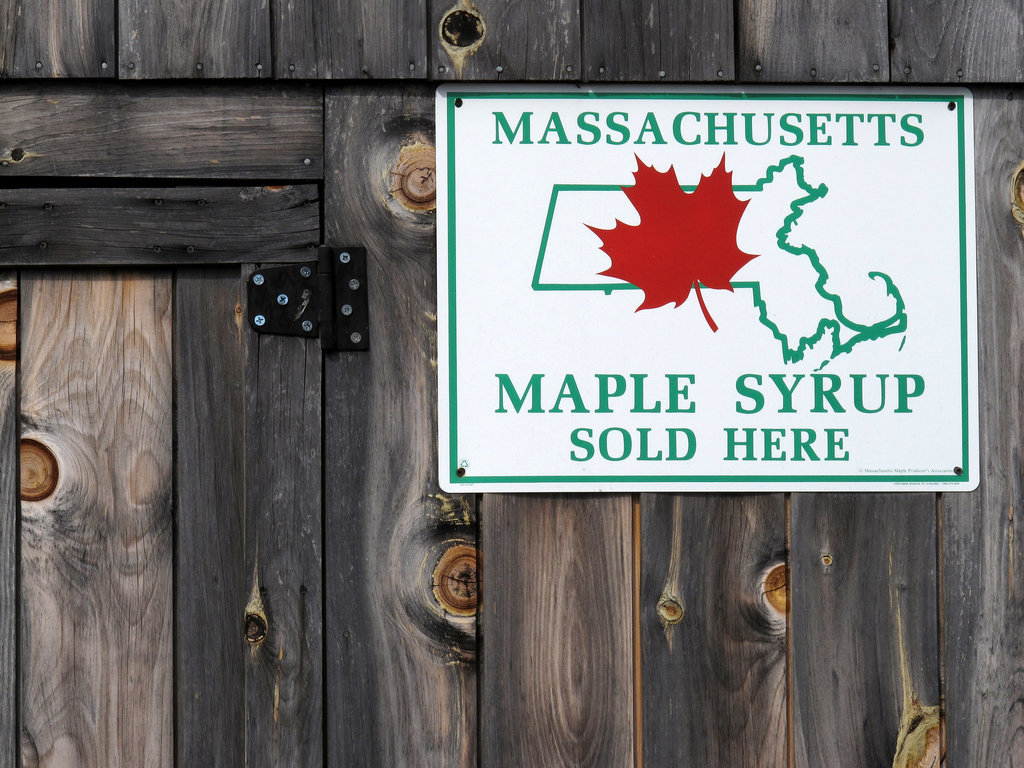 Maple Syrup Sold Here
