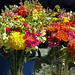 Bouquets, farmers market