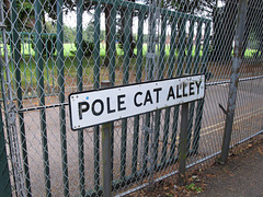 Pole Cat Alley