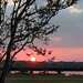 Bridge Pointe sunset