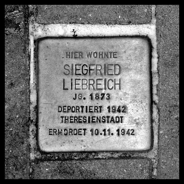 Stolperstein Siegfried LIEBREICH (colored version included)