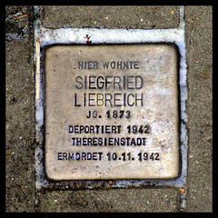 Stolperstein Siegfried LIEBREICH