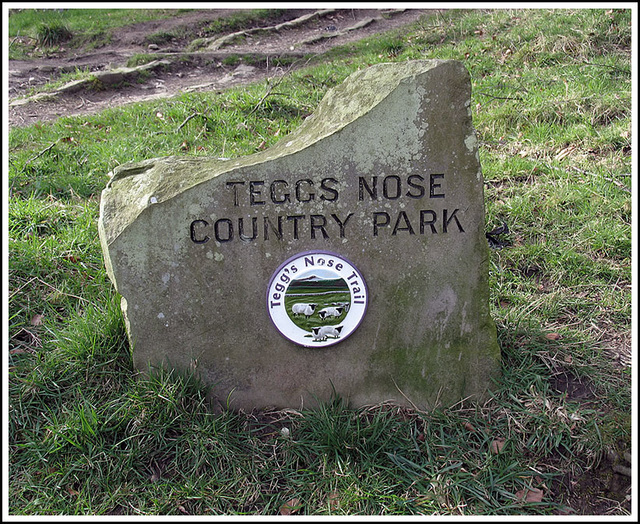Tegg's Nose Country Park