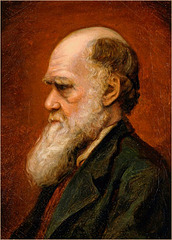 Portrait of Charles Robert Darwin by Laura Russell 1869