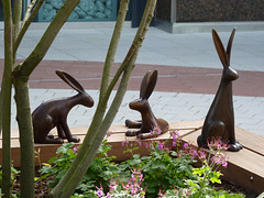 Lucy Casson Rabbits (2) - 9 June 2013