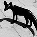 Whiteley Fox (1 Mono) - 6 June 2013