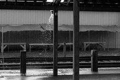 Rainshower in the railyard