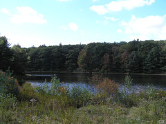 Lower pond