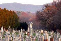 Cemetery vista