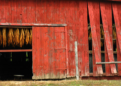Tobacco barn #1, Southwick