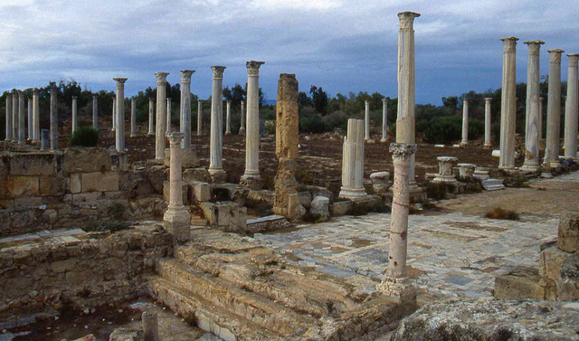 Salamis- Roman Columns