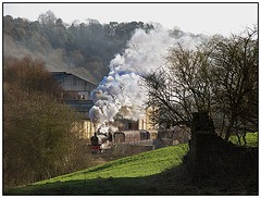 Ditcheat Manor departs Froghall