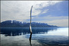 Une  Fourchette sur le lac (Leman)