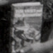Boy Wins Tom Swift Book in Fourth of July Bike Parade in 1950s (Detail)