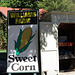 Williams Farm Sweet Corn
