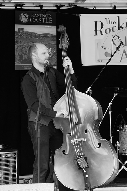 Double bass player - The Rocking Aces