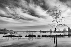 Flooded fields in winter light - 2  (Black and White version)