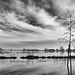 Flooded fields in winter light - 2  (Black and White version)