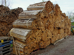 woodpile